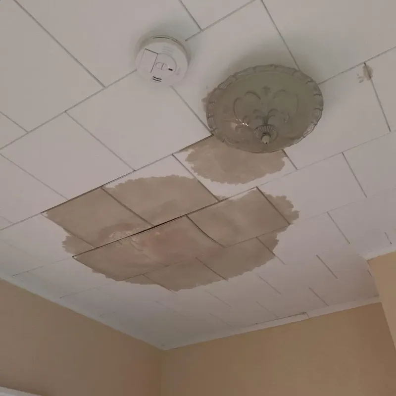 Ceiling Water Damage Repair in Broken Bow, NE